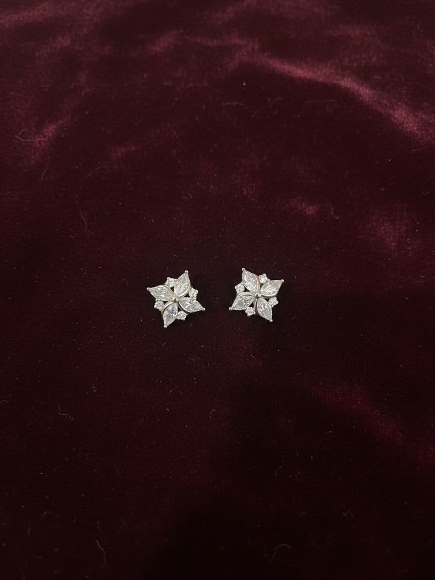 Premium Earing