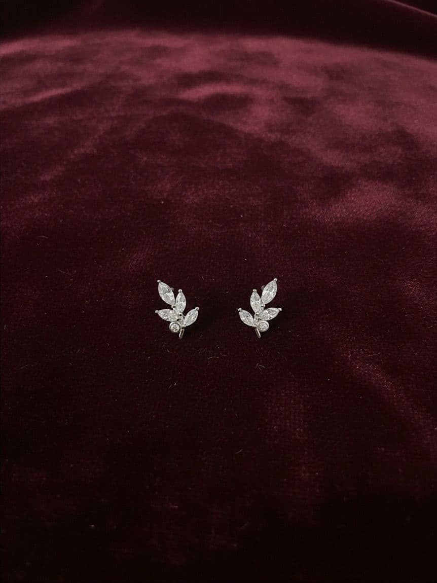Premium Earing